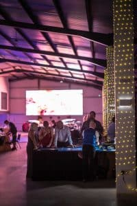Five Zero Summer Ball 9539